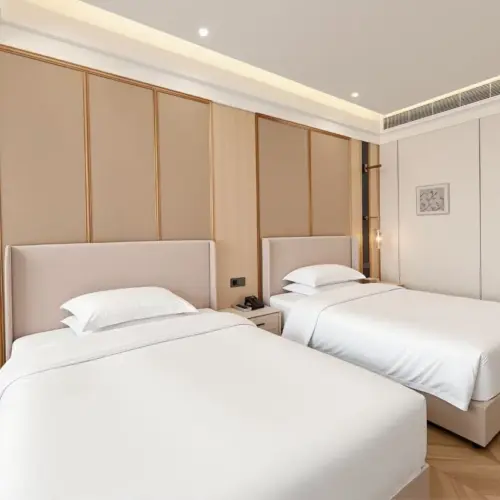 Deluxe 2-Bed Room
